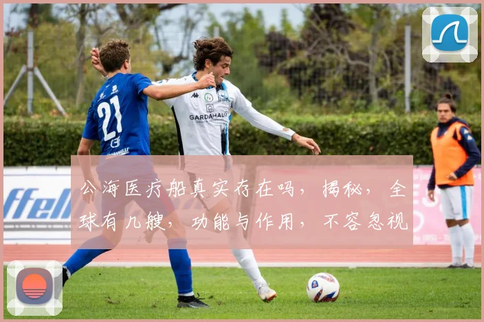 公海医疗船真实存在吗，揭秘，全球有几艘，功能与作用，不容忽视