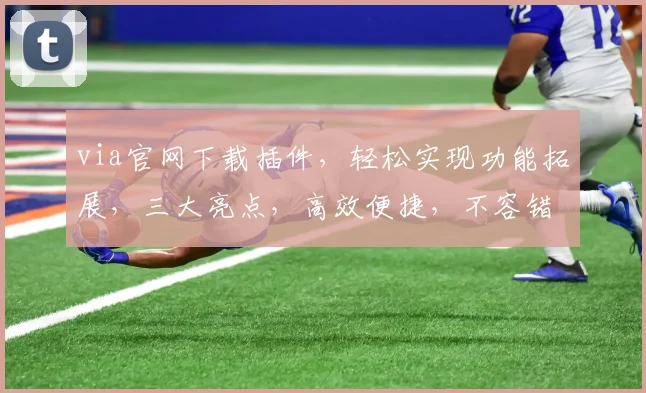 via官网下载插件，轻松实现功能拓展，三大亮点，高效便捷，不容错过，必看教程