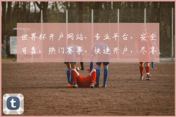 世界杯开户网站，专业平台，安全可靠，热门赛事，快速开户，尽享精彩