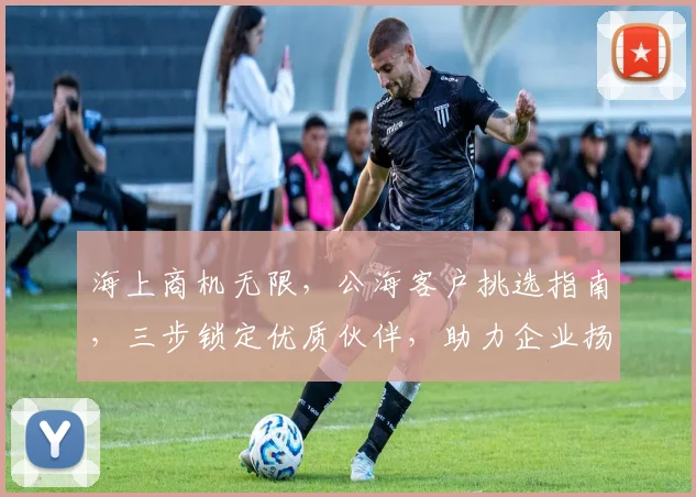 海上商机无限，公海客户挑选指南，三步锁定优质伙伴，助力企业扬帆起航，三招制胜