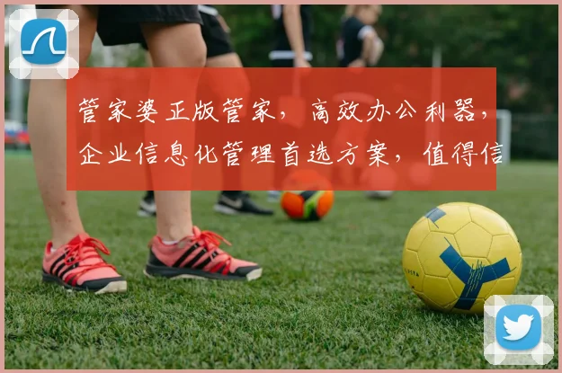 管家婆正版管家，高效办公利器，企业信息化管理首选方案，值得信赖